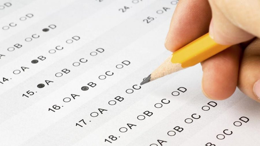 Understanding your child’s psat scores | avery education 